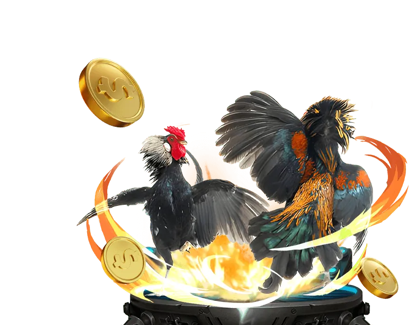 Hướng Dẫn Chơi Đá Gà Tobet88 App