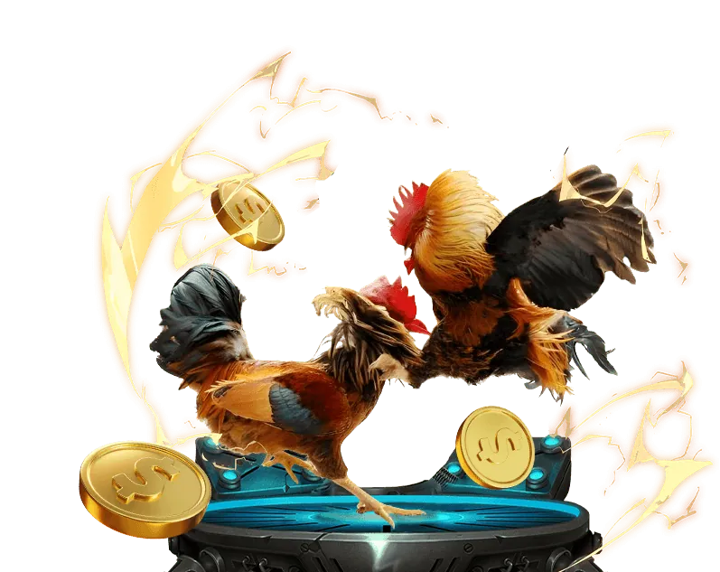 Các điều khoản khác tobet88 app